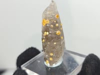 Load and play video in Gallery viewer, Hessonite Garnet on Smoky Quartz. 8g
