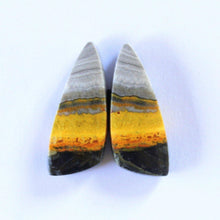 Load image into Gallery viewer, Bumblebee Jasper - The Crystal Connoisseurs