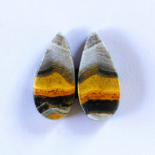 Load image into Gallery viewer, Bumblebee Jasper - The Crystal Connoisseurs