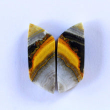 Load image into Gallery viewer, Bumblebee Jasper - The Crystal Connoisseurs