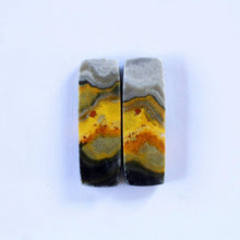 Load image into Gallery viewer, Bumblebee Jasper - The Crystal Connoisseurs