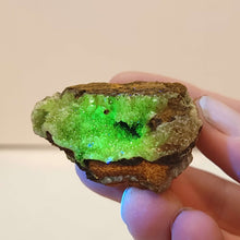 Load image into Gallery viewer, Adamite. UV Reactive. - The Crystal Connoisseurs