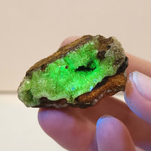 Load image into Gallery viewer, Adamite. UV Reactive. - The Crystal Connoisseurs