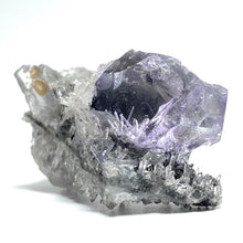 Load image into Gallery viewer, Purple Fluorite and Quartz - The Crystal Connoisseurs