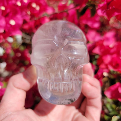 Brazilian Quartz Skull Carving. 419 grams - The Crystal Connoisseurs