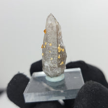 Load image into Gallery viewer, Hessonite Garnet on Smoky Quartz. 8g - The Crystal Connoisseurs
