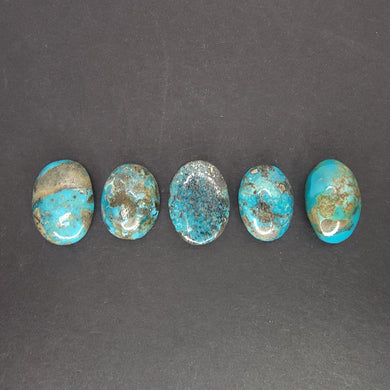 Persian Turquoise Cabochons. Lot #3 - The Crystal Connoisseurs