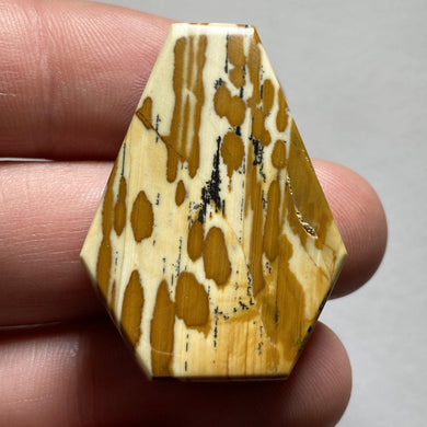 Owyhee Picture Jasper - The Crystal Connoisseurs