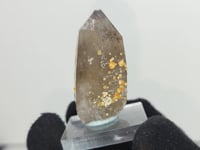 Load and play video in Gallery viewer, Hessonite Garnet on Smoky Quartz. 24g
