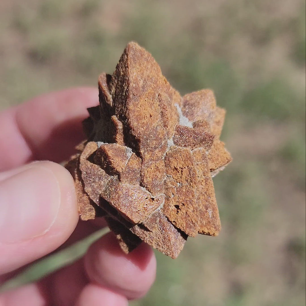 Glendonite. 24g