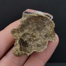 Load image into Gallery viewer, Amethyst, Veracruz. 6.1g - The Crystal Connoisseurs
