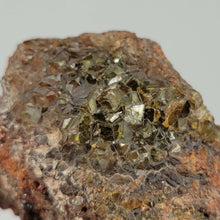 Load image into Gallery viewer, Andradite var. Topazolite, Garnet Cluster. - The Crystal Connoisseurs
