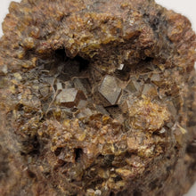 Load image into Gallery viewer, Andradite var. Topazolite, Garnet Cluster. - The Crystal Connoisseurs
