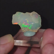 Load and play video in Gallery viewer, Precious Ethiopian Welo Opals. x4

