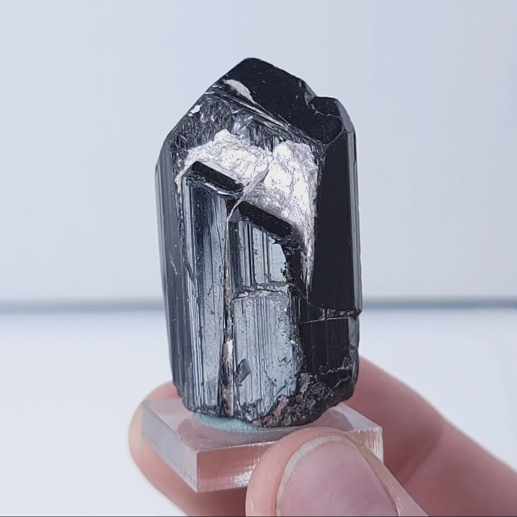 Tourmaline var. Schorl From Forward Mine. 51.8g