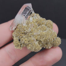 Load and play video in Gallery viewer, Veracruz Amethyst. 6.1g
