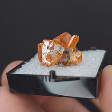 Load and play video in Gallery viewer, Wulfenite Specimen from Red Cloud Mine.

