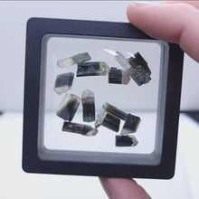 Load and play video in Gallery viewer, Tourmaline. Lot of 12.

