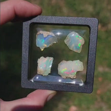 Load and play video in Gallery viewer, Precious Ethiopian Welo Opals. x4
