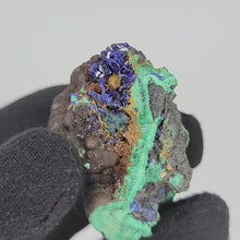 Load and play video in Gallery viewer, Botryoidal Malachite with Azurite Congo
