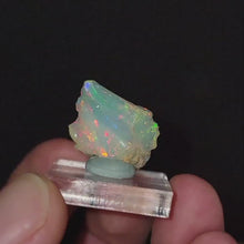 Load and play video in Gallery viewer, Precious Ethiopian Welo Opals. x4

