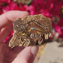 Load and play video in Gallery viewer, Australian Boulder Opal. 105g
