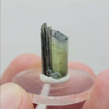 Load and play video in Gallery viewer, Stak Nala Tourmaline. 6ct
