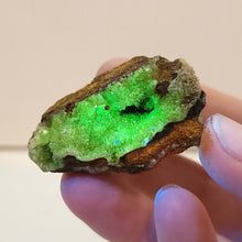Load image into Gallery viewer, Adamite. UV Reactive. - The Crystal Connoisseurs
