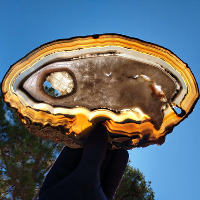 Agate slice. - The Crystal Connoisseurs