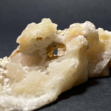 Load image into Gallery viewer, Agatized Coral - The Crystal Connoisseurs
