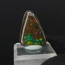 Load image into Gallery viewer, Ammolite Cabochon. 10.45ct. - Locale: Canada Weight: 2.09g (10.45ct) Dimensions: 22mm x 16mm x 4mm - The Crystal Connoisseurs
