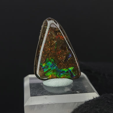 Ammolite Cabochon. 10.45ct. - Locale: Canada Weight: 2.09g (10.45ct) Dimensions: 22mm x 16mm x 4mm - The Crystal Connoisseurs