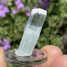 Load image into Gallery viewer, Self Healed Aquamarine - The Crystal Connoisseurs
