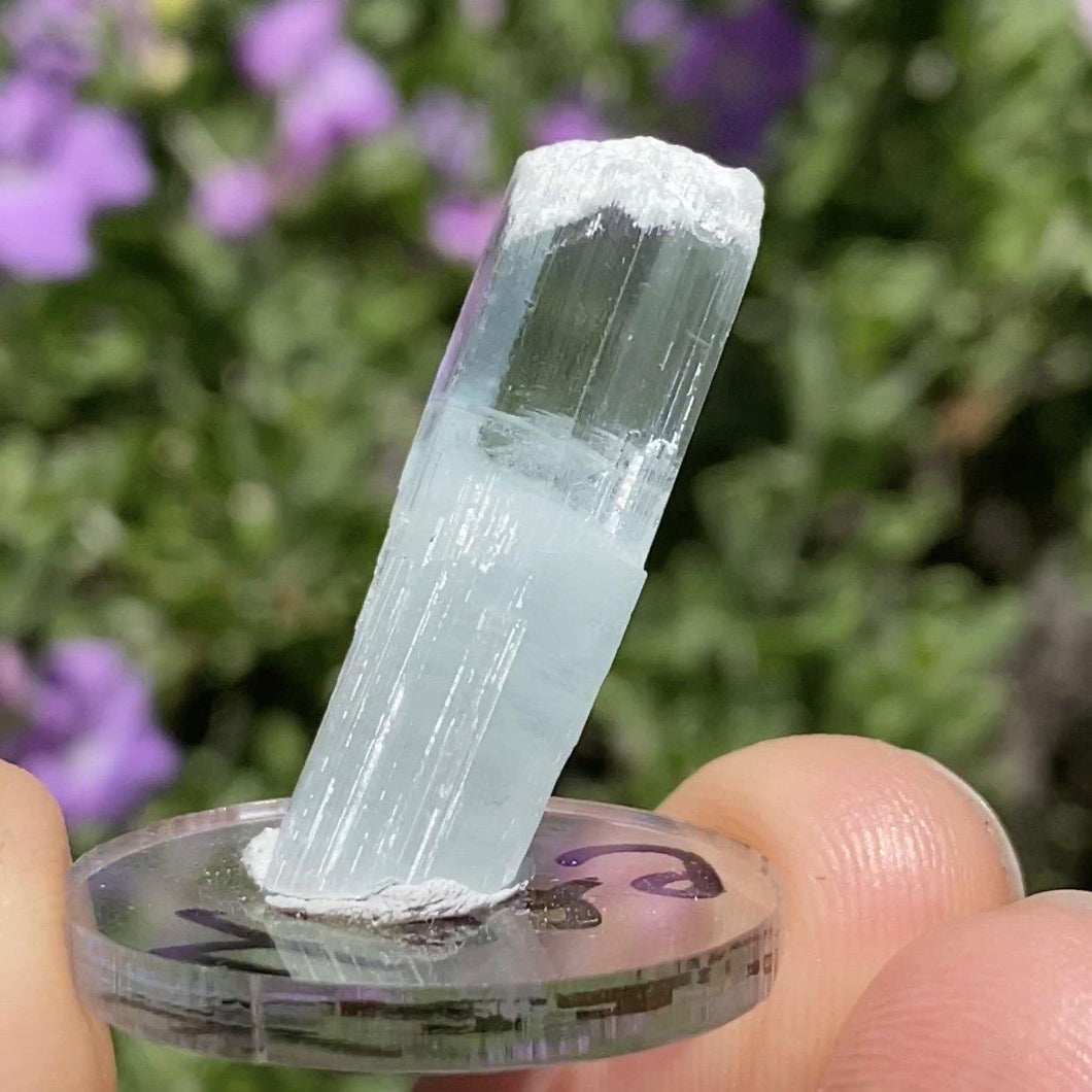 Self Healed Aquamarine - The Crystal Connoisseurs