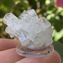Load image into Gallery viewer, Aquamarine Cluster with Mica - The Crystal Connoisseurs
