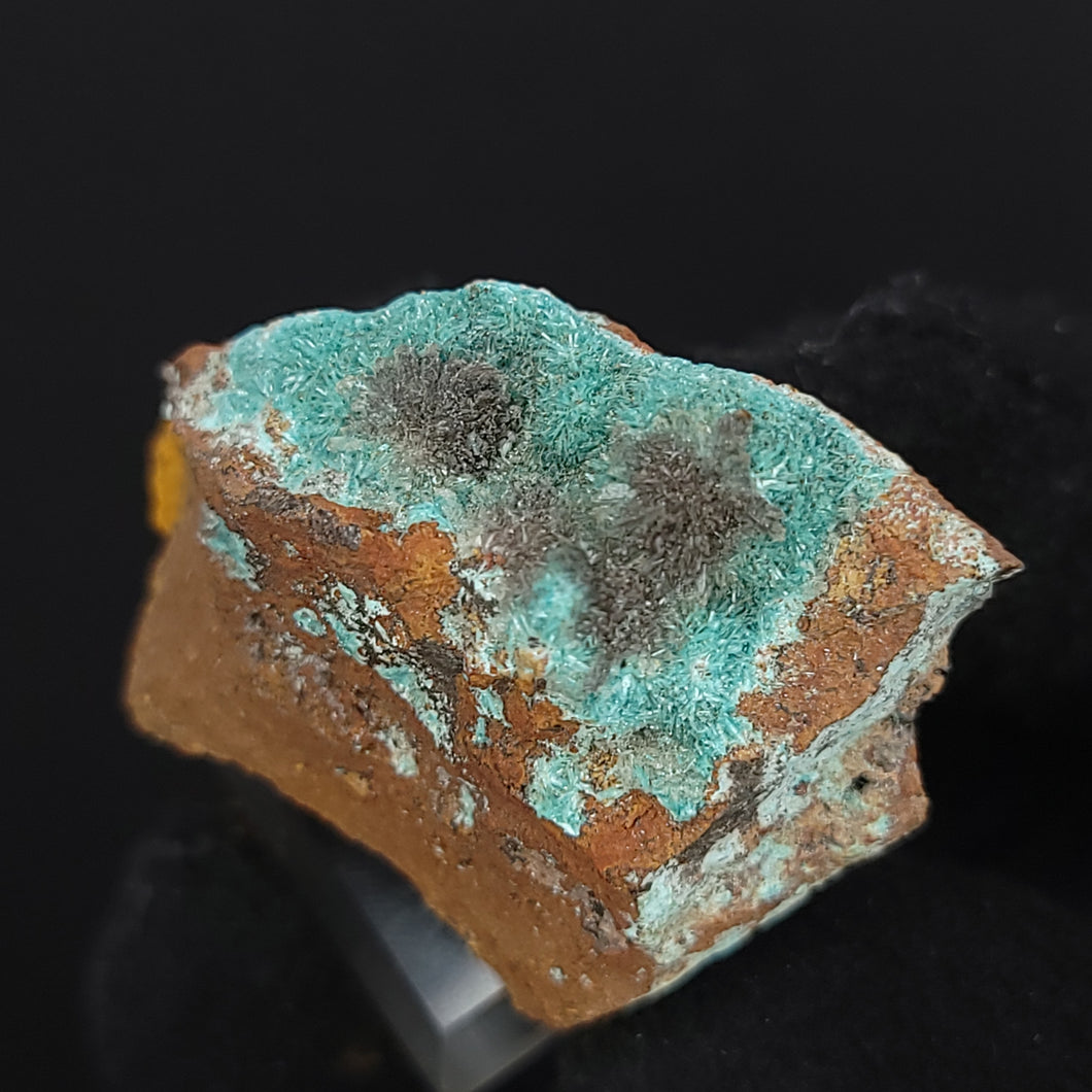Aurichalcite on Matrix from Mexico. 31g - Locale: Mexico. Weight: 31.62 grams. Dimensions: 1.5 x 1.1in. - The Crystal Connoisseurs