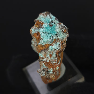 Aurichalcite on Matrix from Mexico. 9g - Locale: Mexico. Weight: 9.07 grams. Dimensions: 1.3 x 0.6in. - The Crystal Connoisseurs