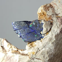 Load image into Gallery viewer, Azurite in Matrix. Morocco. 90g - The Crystal Connoisseurs
