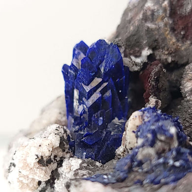 Azurite Crystals on Matrix. Morocco. - The Crystal Connoisseurs