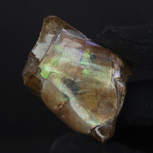Load image into Gallery viewer, Baculite Specimen. 33g - Locale: Colorado.Weight: 33.62 grams.Dimensions: 1.9in x 1.4in x 0.6in. - The Crystal Connoisseurs

