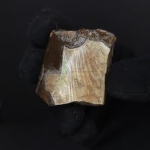 Load image into Gallery viewer, Baculite Specimen. 39g - Locale: Colorado.Weight: 39.6 grams.Dimensions: 1.6in x 1.4in x 0.7in. - The Crystal Connoisseurs

