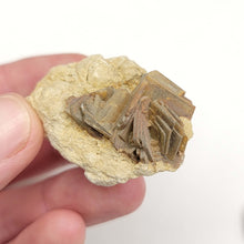 Load image into Gallery viewer, Barite Specimens. x4 - The Crystal Connoisseurs
