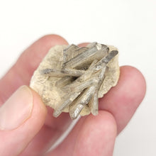 Load image into Gallery viewer, Barite Specimens. x4 - The Crystal Connoisseurs
