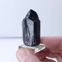 Load image into Gallery viewer, Black Tourmaline with Mica. 51.8g - The Crystal Connoisseurs
