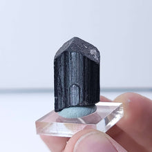 Load image into Gallery viewer, Black Tourmaline. 14.8g - The Crystal Connoisseurs
