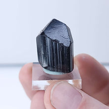 Load image into Gallery viewer, Black Tourmaline. 14.8g - The Crystal Connoisseurs
