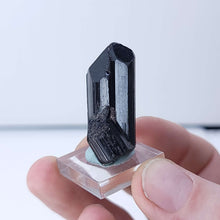 Load image into Gallery viewer, Black Tourmaline. 16.2g - The Crystal Connoisseurs
