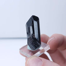 Load image into Gallery viewer, Black Tourmaline. 16.2g - The Crystal Connoisseurs
