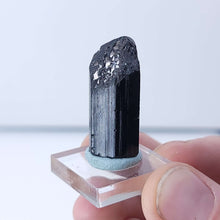 Load image into Gallery viewer, Black Tourmaline. 11.5g - The Crystal Connoisseurs
