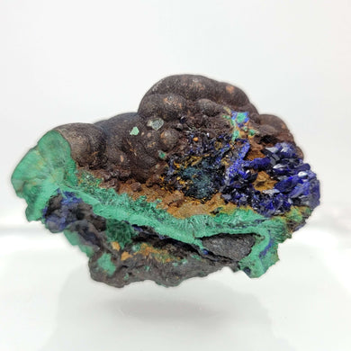 Botryoidal Malachite with Azurite. 62 grams - The Crystal Connoisseurs